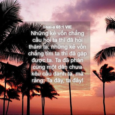 Picture 04 - I-sai-a 65:1 VIE - Những kẻ vốn chẳng cầu hỏi ta thì - Bible Verse Picture