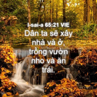 Picture 04 - I-sai-a 65:21 VIE - Dân ta sẽ xây nhà và ở, trồng vườn - Bible Verse Picture