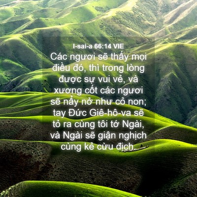 Picture 04 - I-sai-a 66:14 VIE - Các ngươi sẽ thấy mọi điều đó, thì - Bible Verse Picture