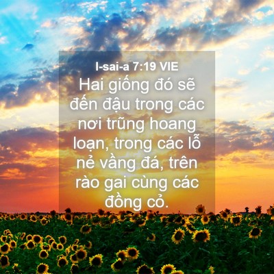 Picture 04 - I-sai-a 7:19 VIE - Hai giống đó sẽ đến đậu trong các - Bible Verse Picture