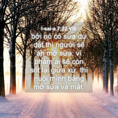 Picture 04 - I-sai-a 7:22 VIE - bởi nó có sữa dư dật thì người sẽ - Bible Verse Picture