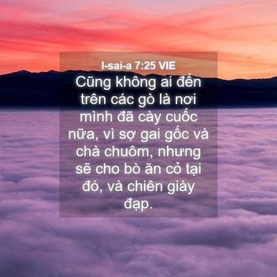 Picture 04 - I-sai-a 7:25 VIE - Cũng không ai đến trên các gò là nơi - Bible Verse Picture