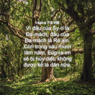 Picture 04 - I-sai-a 7:8 VIE - Vì đầu của Sy-ri là Đa-mách, đầu - Bible Verse Picture