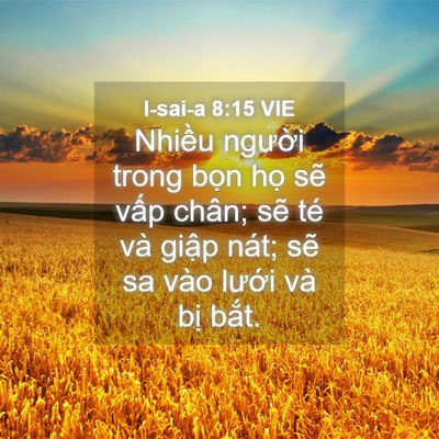 Picture 04 - I-sai-a 8:15 VIE - Nhiều người trong bọn họ sẽ vấp - Bible Verse Picture