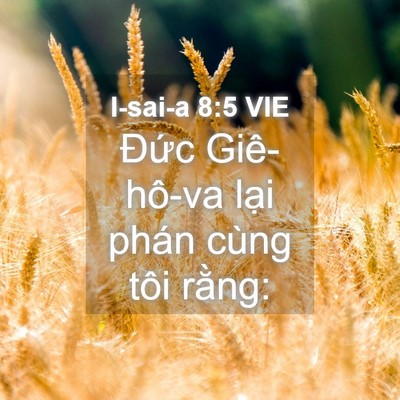 Picture 04 - I-sai-a 8:5 VIE - Đức Giê-hô-va lại phán cùng tôi - Bible Verse Picture