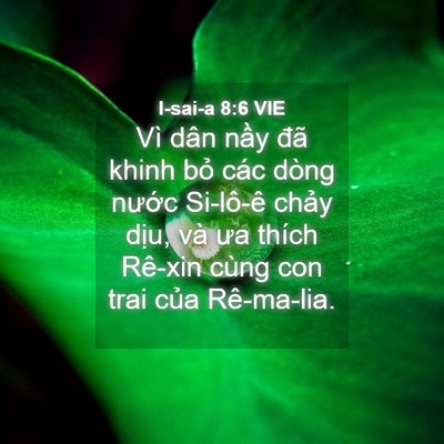 Picture 04 - I-sai-a 8:6 VIE - Vì dân nầy đã khinh bỏ các dòng nước - Bible Verse Picture