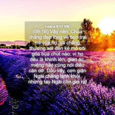 Picture 04 - I-sai-a 9:17 VIE - (09-16) Vậy nên, Chúa chẳng đẹp lòng - Bible Verse Picture