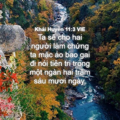 Picture 04 - Khải Huyền 11:3 VIE - Ta sẽ cho hai người làm chứng ta mặc - Bible Verse Picture
