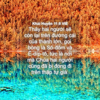 Picture 04 - Khải Huyền 11:8 VIE - Thây hai người sẽ còn lại trên - Bible Verse Picture