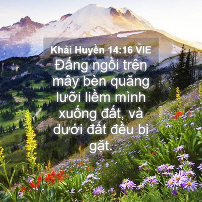 Picture 04 - Khải Huyền 14:16 VIE - Đấng ngồi trên mây bèn quăng lưỡi - Bible Verse Picture