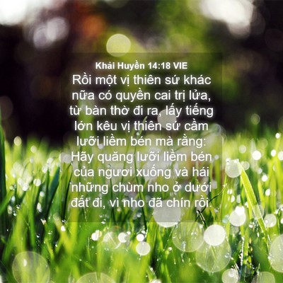 Picture 04 - Khải Huyền 14:18 VIE - Rồi một vị thiên sứ khác nữa có - Bible Verse Picture