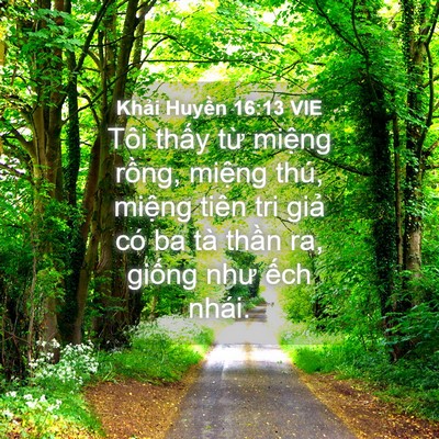 Picture 04 - Khải Huyền 16:13 VIE - Tôi thấy từ miệng rồng, miệng thú, - Bible Verse Picture