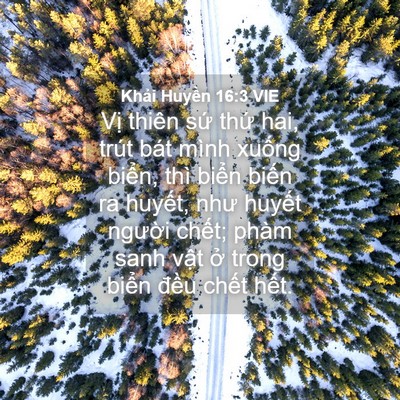 Picture 04 - Khải Huyền 16:3 VIE - Vị thiên sứ thứ hai, trút bát mình - Bible Verse Picture