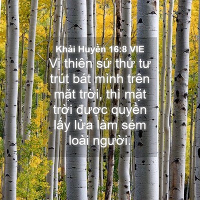 Picture 04 - Khải Huyền 16:8 VIE - Vị thiên sứ thứ tư trút bát mình trên - Bible Verse Picture
