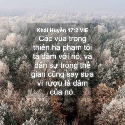 Picture 04 - Khải Huyền 17:2 VIE - Các vua trong thiên hạ phạm tội tà dâm - Bible Verse Picture