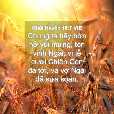 Picture 04 - Khải Huyền 19:7 VIE - Chúng ta hãy hớn hở vui mừng, tôn vinh - Bible Verse Picture
