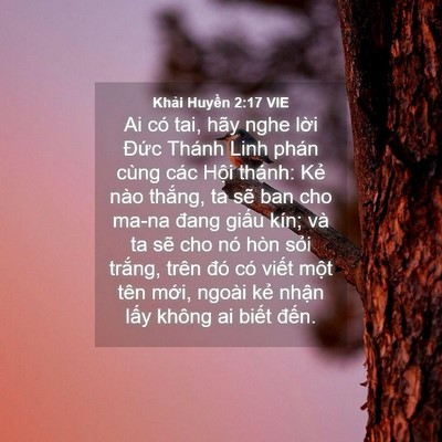 Picture 04 - Khải Huyền 2:17 VIE - Ai có tai, hãy nghe lời Đức Thánh Linh - Bible Verse Picture