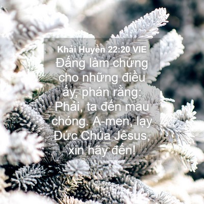 Picture 04 - Khải Huyền 22:20 VIE - Đấng làm chứng cho những điều ấy, - Bible Verse Picture