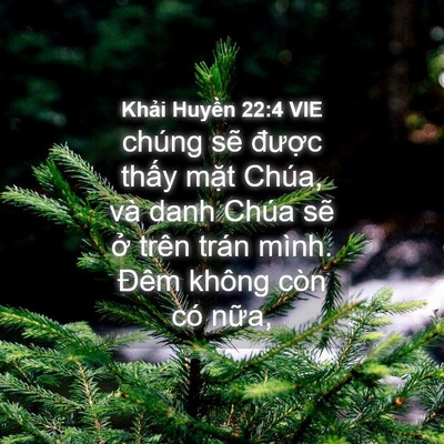 Picture 04 - Khải Huyền 22:4 VIE - chúng sẽ được thấy mặt Chúa, và danh - Bible Verse Picture