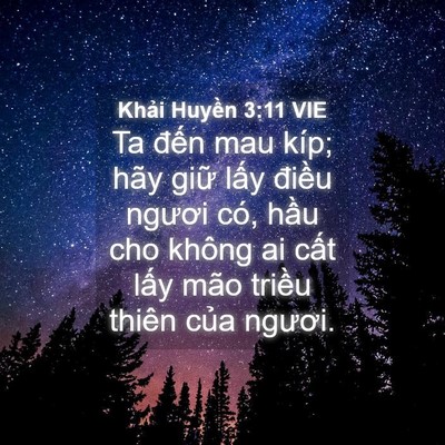 Picture 04 - Khải Huyền 3:11 VIE - Ta đến mau kíp; hãy giữ lấy điều - Bible Verse Picture