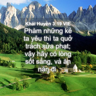 Picture 04 - Khải Huyền 3:19 VIE - Phàm những kẻ ta yêu thì ta quở trách - Bible Verse Picture