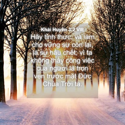 Picture 04 - Khải Huyền 3:2 VIE - Hãy tỉnh thức, và làm cho vững sự còn - Bible Verse Picture