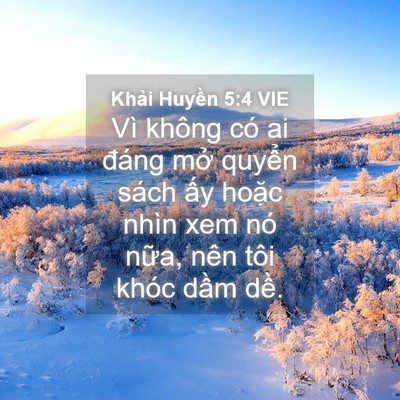 Picture 04 - Khải Huyền 5:4 VIE - Vì không có ai đáng mở quyển sách ấy - Bible Verse Picture