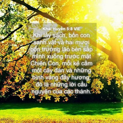 Picture 04 - Khải Huyền 5:8 VIE - Khi lấy sách, bốn con sanh vật và hai - Bible Verse Picture