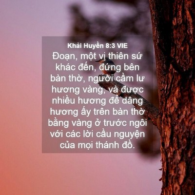 Picture 04 - Khải Huyền 8:3 VIE - Đoạn, một vị thiên sứ khác đến, - Bible Verse Picture