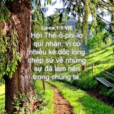 Picture 04 - Lu-ca 1:1 VIE - Hỡi Thê-ô-phi-lơ quí nhân, vì có nhiều - Bible Verse Picture
