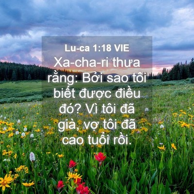 Picture 04 - Lu-ca 1:18 VIE - Xa-cha-ri thưa rằng: Bởi sao tôi biết - Bible Verse Picture