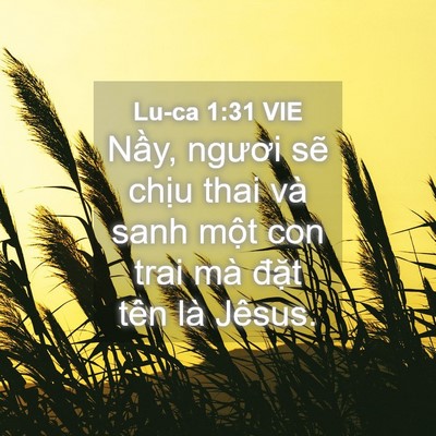 Picture 04 - Lu-ca 1:31 VIE - Nầy, ngươi sẽ chịu thai và sanh một - Bible Verse Picture