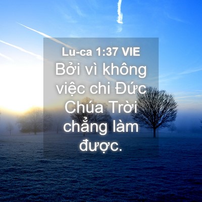 Picture 04 - Lu-ca 1:37 VIE - Bởi vì không việc chi Đức Chúa Trời - Bible Verse Picture