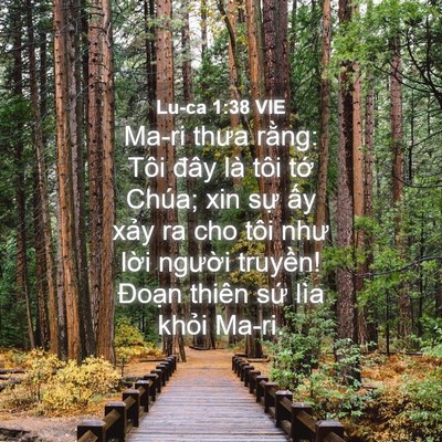 Picture 04 - Lu-ca 1:38 VIE - Ma-ri thưa rằng: Tôi đây là tôi tớ - Bible Verse Picture