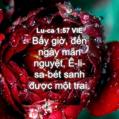 Picture 04 - Lu-ca 1:57 VIE - Bấy giờ, đến ngày mãn nguyệt, - Bible Verse Picture