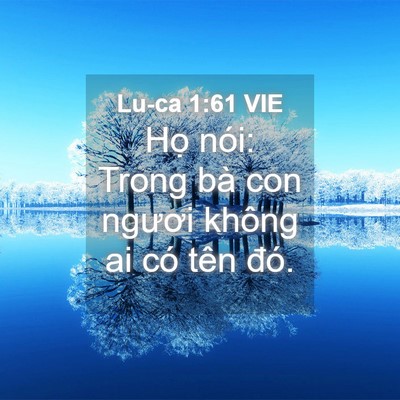 Picture 04 - Lu-ca 1:61 VIE - Họ nói: Trong bà con ngươi không ai có - Bible Verse Picture