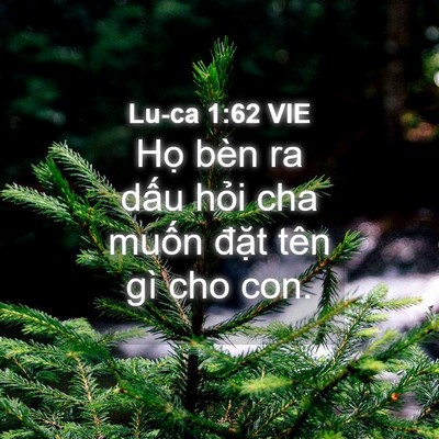 Picture 04 - Lu-ca 1:62 VIE - Họ bèn ra dấu hỏi cha muốn đặt tên - Bible Verse Picture