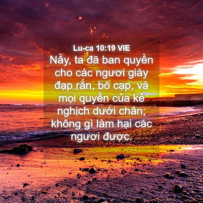 Picture 04 - Lu-ca 10:19 VIE - Nầy, ta đã ban quyền cho các ngươi giày - Bible Verse Picture