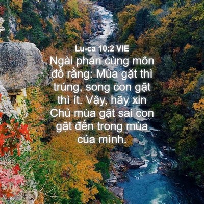 Picture 04 - Lu-ca 10:2 VIE - Ngài phán cùng môn đồ rằng: Mùa gặt - Bible Verse Picture