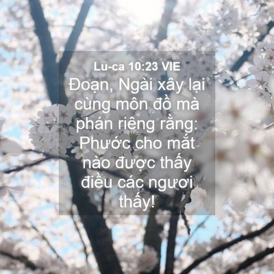 Picture 04 - Lu-ca 10:23 VIE - Đoạn, Ngài xây lại cùng môn đồ mà - Bible Verse Picture