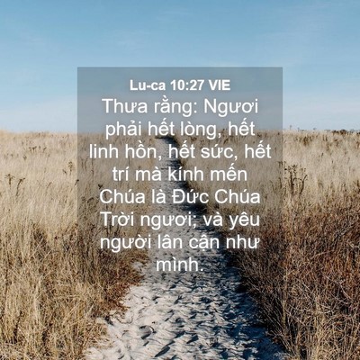 Picture 04 - Lu-ca 10:27 VIE - Thưa rằng: Ngươi phải hết lòng, hết - Bible Verse Picture