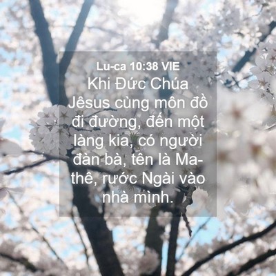 Picture 04 - Lu-ca 10:38 VIE - Khi Đức Chúa Jêsus cùng môn đồ đi - Bible Verse Picture