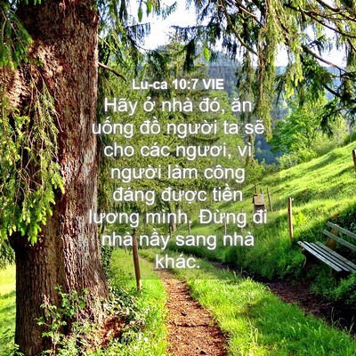 Picture 04 - Lu-ca 10:7 VIE - Hãy ở nhà đó, ăn uống đồ người ta - Bible Verse Picture