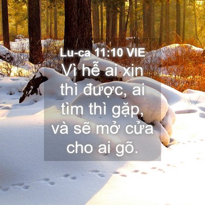 Picture 04 - Lu-ca 11:10 VIE - Vì hễ ai xin thì được, ai tìm thì - Bible Verse Picture