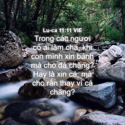 Picture 04 - Lu-ca 11:11 VIE - Trong các ngươi có ai làm cha, khi con mình - Bible Verse Picture