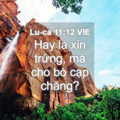 Picture 04 - Lu-ca 11:12 VIE - Hay là xin trứng, mà cho bò cạp - Bible Verse Picture
