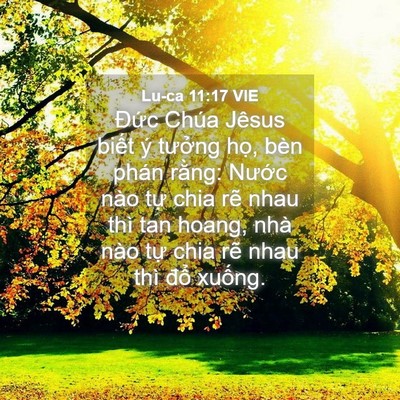 Picture 04 - Lu-ca 11:17 VIE - Đức Chúa Jêsus biết ý tưởng họ, bèn - Bible Verse Picture