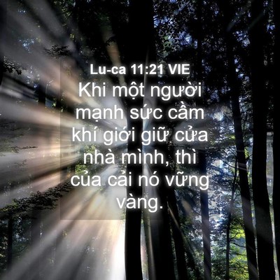 Picture 04 - Lu-ca 11:21 VIE - Khi một người mạnh sức cầm khí giới - Bible Verse Picture