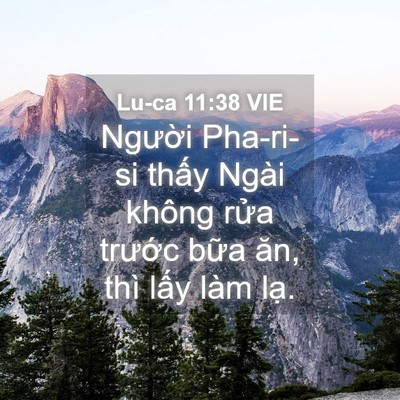 Picture 04 - Lu-ca 11:38 VIE - Người Pha-ri-si thấy Ngài không rửa - Bible Verse Picture