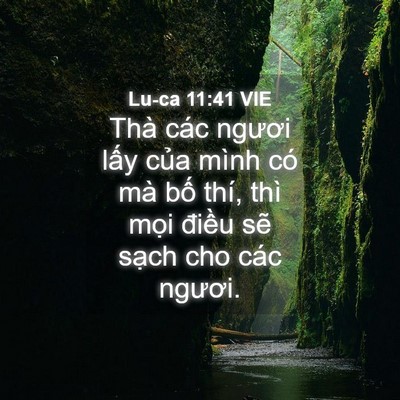 Picture 04 - Lu-ca 11:41 VIE - Thà các ngươi lấy của mình có mà bố - Bible Verse Picture